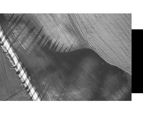lines